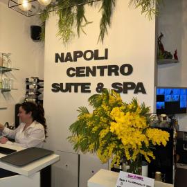 Napoli Centro Suite e Spa, hotel din Napoli