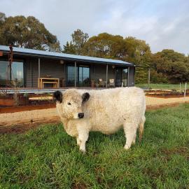 Mygunyah Farmstay, Hotel in Kaniva