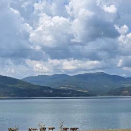 Sioni Cottage 888, hotel a Sioni