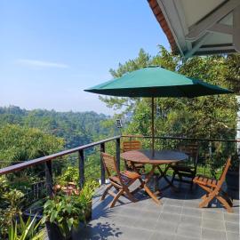 Dago Hills Homestay 43
