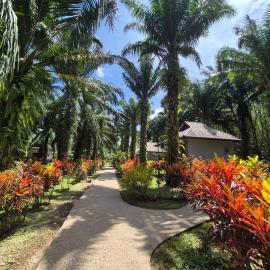Khao Sok Palm Garden Resort