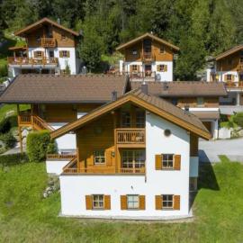 Alpine Chalet in Wald im Pinzgau for 12