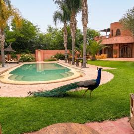 RIAD - Jnan Bnati - Pool