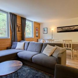 Résidence La Petite Ourse - Appartement spacieux et chaleureux · Centre station MAE-7362