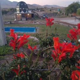 El eden en el desierto florido