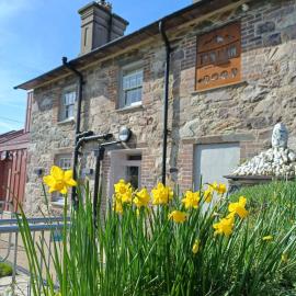 Ty'n Llan- tafarn gymunedol- community pub, hotell i Llandwrog