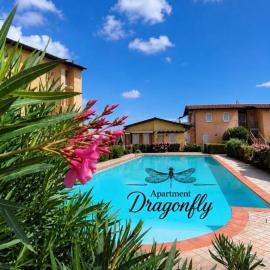 Apartment Dragonfly