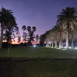Entre Palmeras y Lavandas Casas de diseño, tu refugio de campo Fogón Pileta a leña Colonia, hotel di Riachuelo