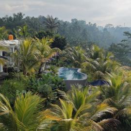 De Sila house and pool, with pool, rice terrace and clift view