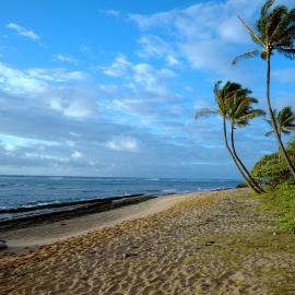 Sea and Sky Beachfront Condo, AC, Ocean Views, Sunrises, Steps to Beach!