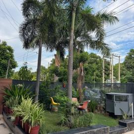 Mohali homestay