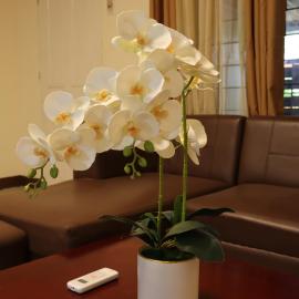 Ysamatti Travel Lodge Villa, hótel í Bankal