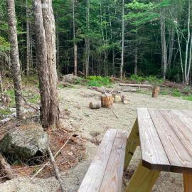 Forest Camps