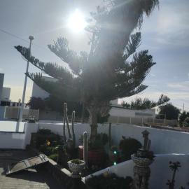 Apartamento Los Chinijos, hotel em Güime