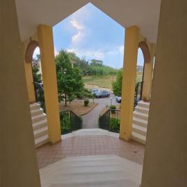Alex Holiday House