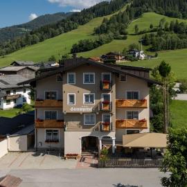 Hotel Gleimingerhof - Reiteralm, hotel in Gleiming
