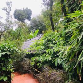 Mountain Cottages Holidays in Coorg, viešbutis mieste Madikeris