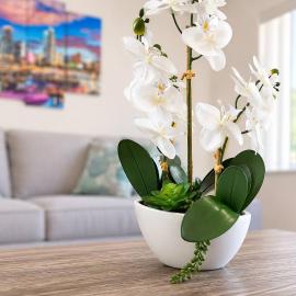 Comfy 4 Beds Walk Hard Rock Stadium Free Parking
