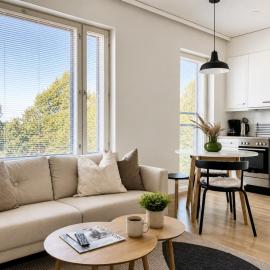 Borg Itsenäisyydenkatu, Large Studio Apt