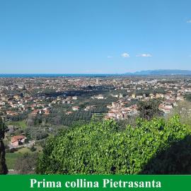 Belvedere 10