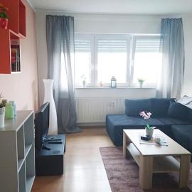 Appartment am Stadtrand von Baden-Baden、Hauenebersteinのホテル