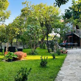 Guest House Chiko