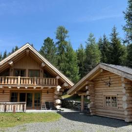 Almzauber Chalets - Haus Enzian inkl Infrarotliegen、ホーホのホテル