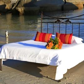 Boulders Beach Hotel and Restaurant, Hotel in Simonʼs Town