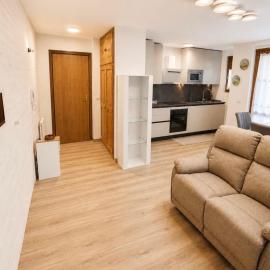 Pinzolo Alpin Apartment