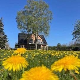 Noor-OG-mit-Studio-Nr-4, hotel a Haby