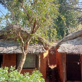 Bravo Agriculture Farmhouse