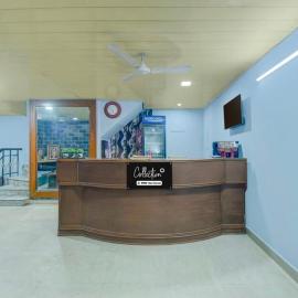 Hotel Shaan