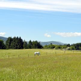 The Wee Cabin - Uk5856, хотел в Kirkmichael