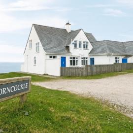 Corncockle