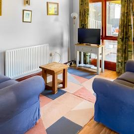 Swan, hotel a Welney