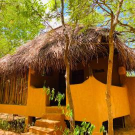 Pot house