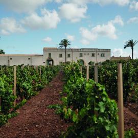 마르살라에 위치한 호텔 Agriturismo Baglio Donnafranca Wine Resort