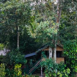 Fab - Bamboo Hut with Open Shower, hotel a Munnar