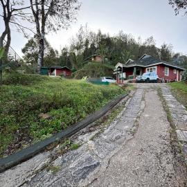 Thangaali - The Homestay