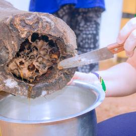 Anmut & Apiculture Museum