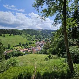 Ferienwohnung Waldstübchen