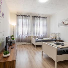 FLEX Aparts - möblierte Wohnung in Zwickau