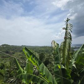 Roatan Ocean View Home 6 Bedrooms 3 Bathrooms Swimming pool