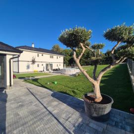 Apartmani Luna, Borsko jezero, מלון בבור