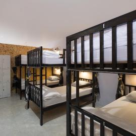 FLORA Hostel