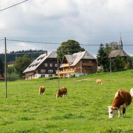 Bärenhof Backhaus, hotel a Eisenbach