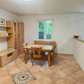 Apartment Froschkönig neben Bahnhof in Payerbach