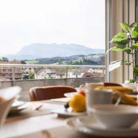 Yari Stay - Pilatus Penthouse & Rigi Apartment near Lucerne