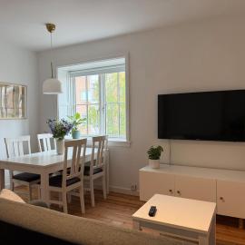 2-room apartment in the city center - 300 m from the station - Newly renovated