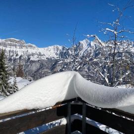 Chalet Gina